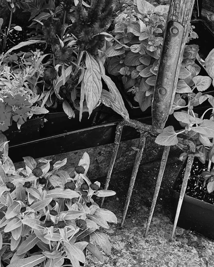 Felder's Summer Prep