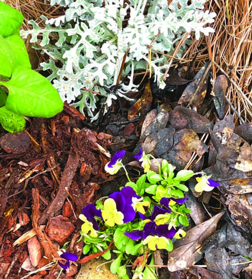 Twists & Turns: Putting Our Existence in Perspective