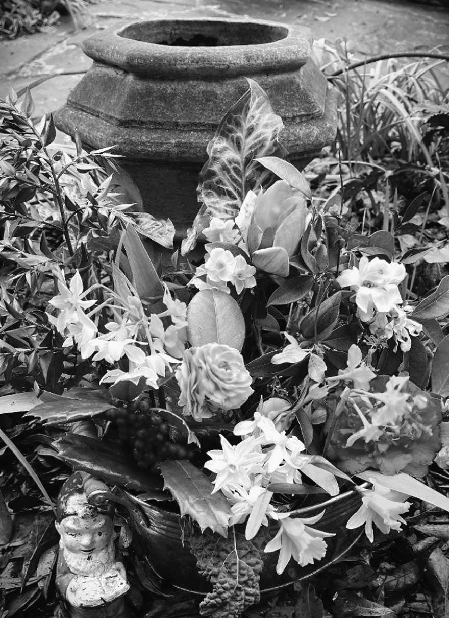 Felder's Frosty Philosophy