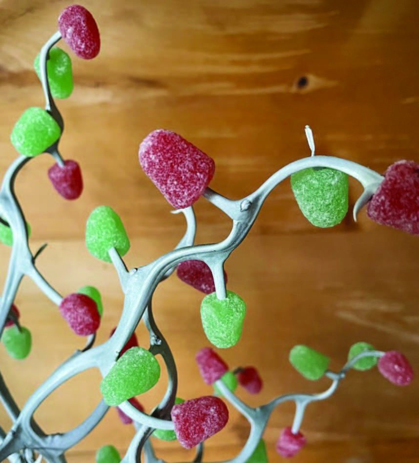 Walthall County Historical Society Wins Mississippi Historical Society Award