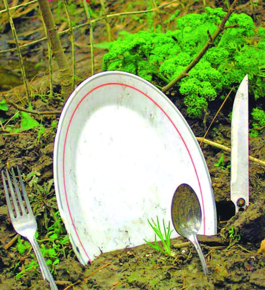 Felder's Soil Secrets