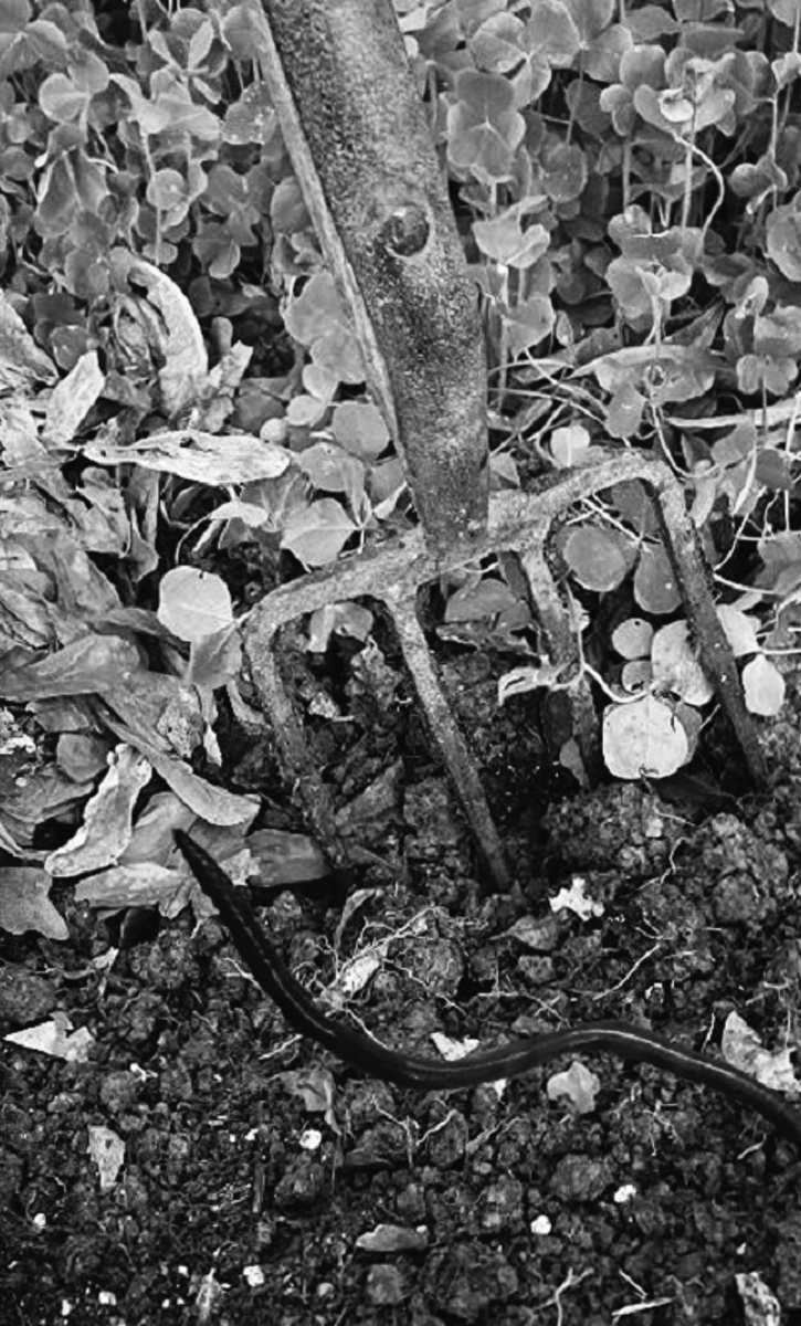 Felder's Soil Secrets