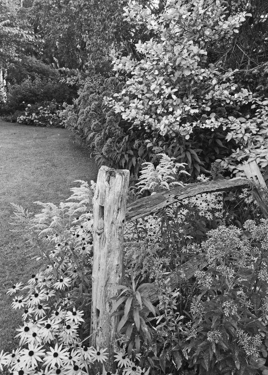 Felder's Tidy Native Garden