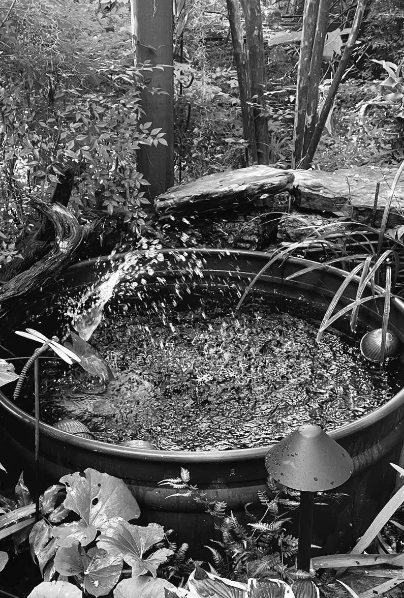 Felder's Garden Magic: Fire & Water