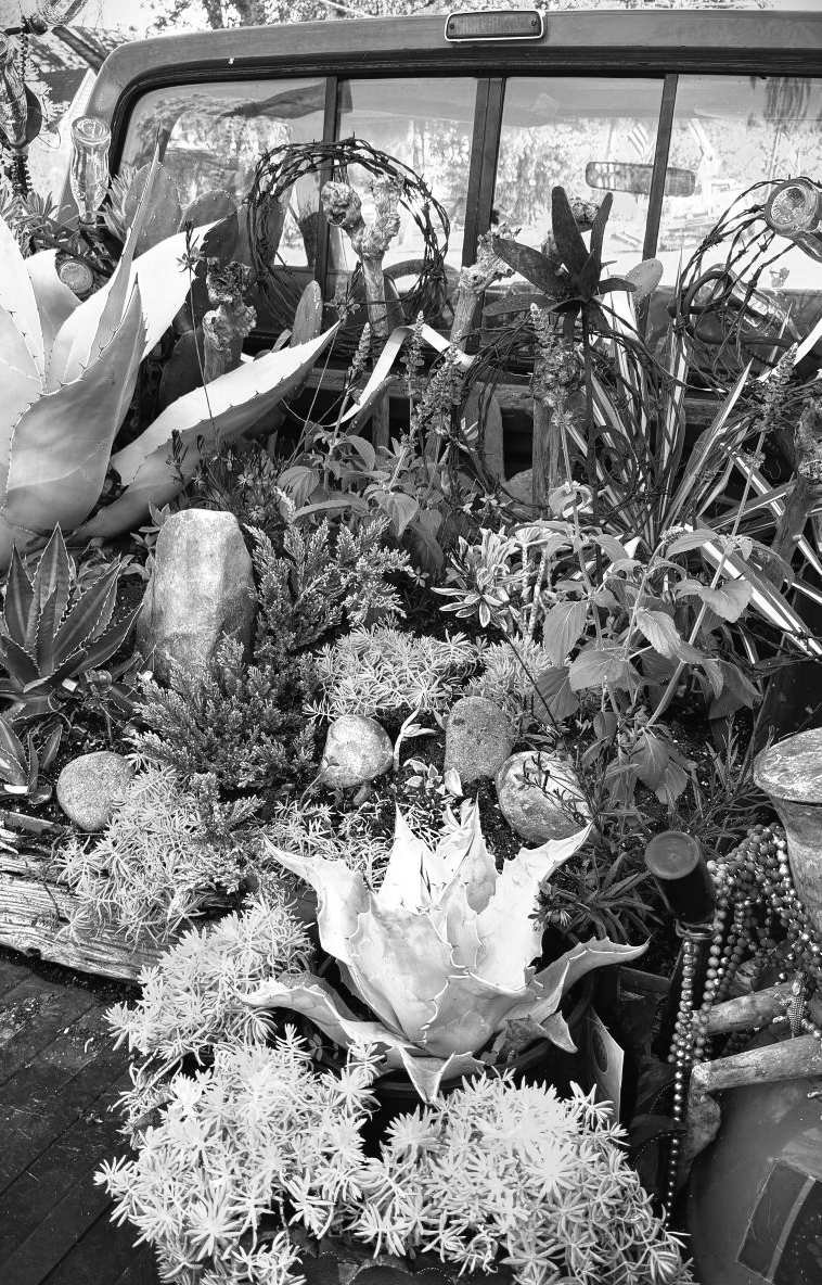 Felder's Weather-Proof Garden