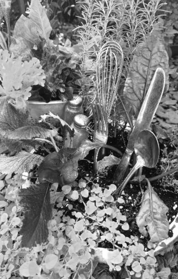 Felder's Edimental Garden